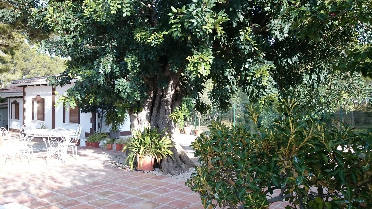 Villa Chabola Dénia Esterno foto