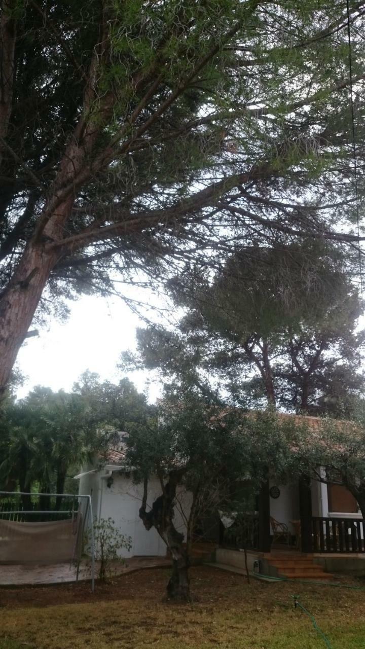 Villa Chabola Dénia Esterno foto